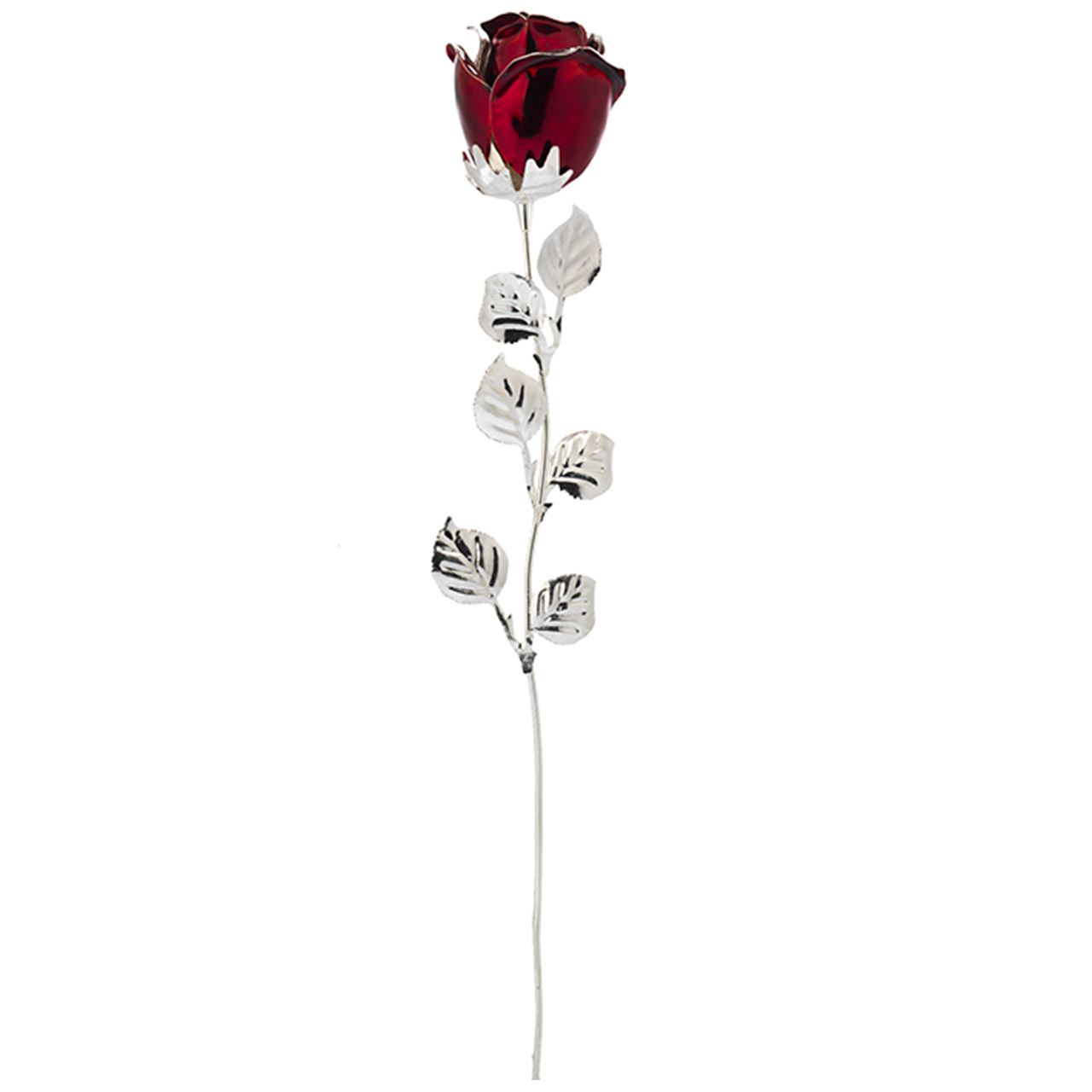 ROSA CM 33 - ROSSA SCARLATTA